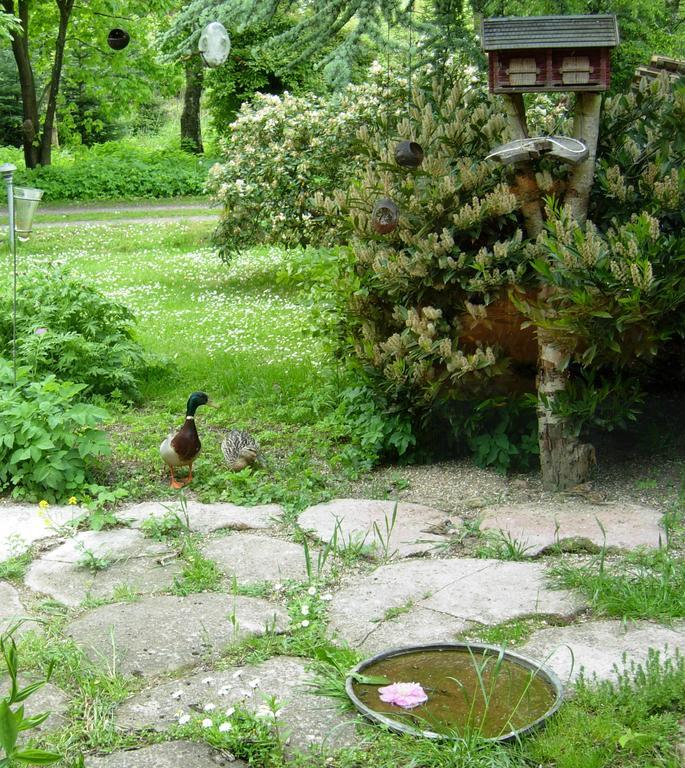 Bed & Breakfast Heddahgaarden